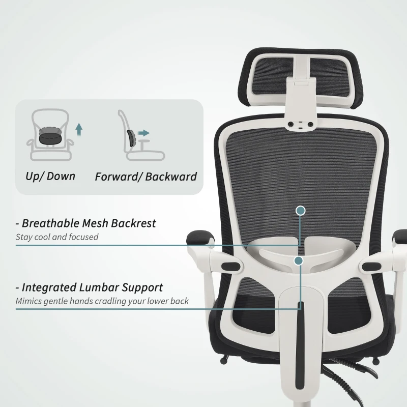 HOMCOM Ergonomic Office Chair, Mesh Reclining Desk Chair with Adjustable Lumbar Support, Headrest, Black