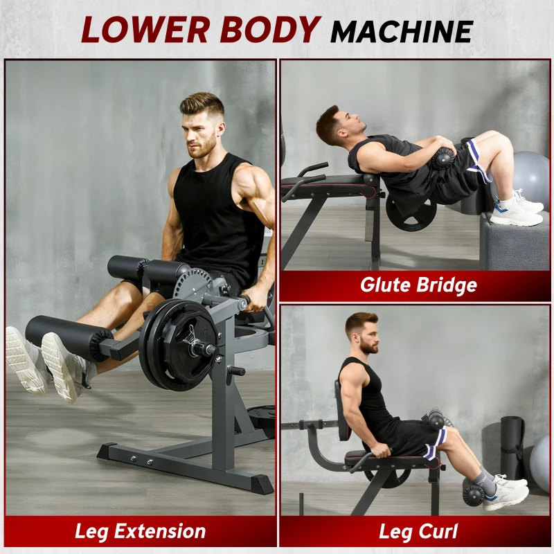Soozier Seated Calf Raise Machine, Adjustable Leg Extension, and Curl Machine for Hip, Thigh and Lower Body Workout