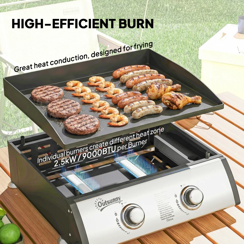 Outsunny 2 Burner Liquefied Gas Grill, Portable Tabletop BBQ Grill, for Camping, Picnic, Silver