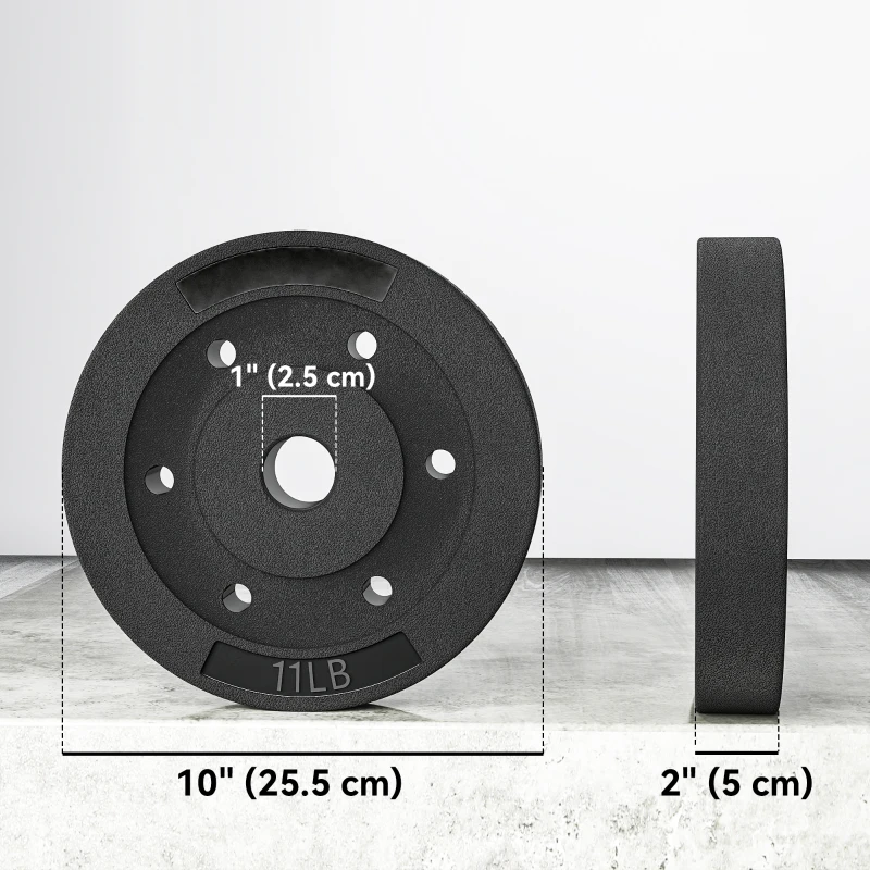 Soozier Weight Plates Set of 4, 1-Inch Barbell Weight Set for Home Gym Strength Training and Weightlifting, 4 x 11 lbs