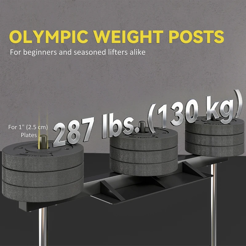 Soozier Leg Extension and Curl Machine, Adjustable Leg Extension Machine, 1" standard Plate Compatible, 660LBS Capacity