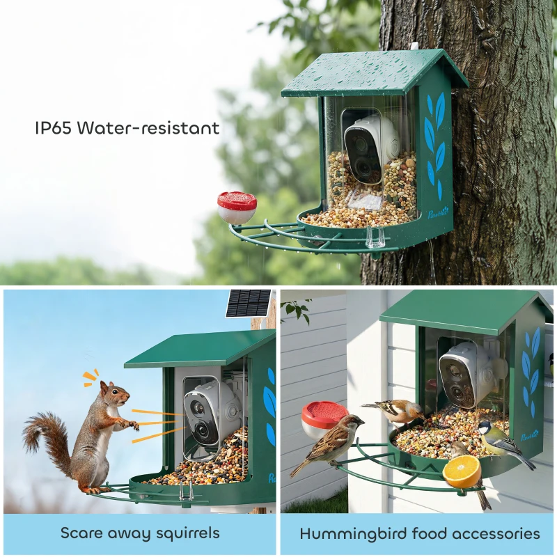 PawHut Smart Bird Feeder Camera Solar Powered with AI Identify 16000+ Birds, Auto Video Capture, Motion Detection