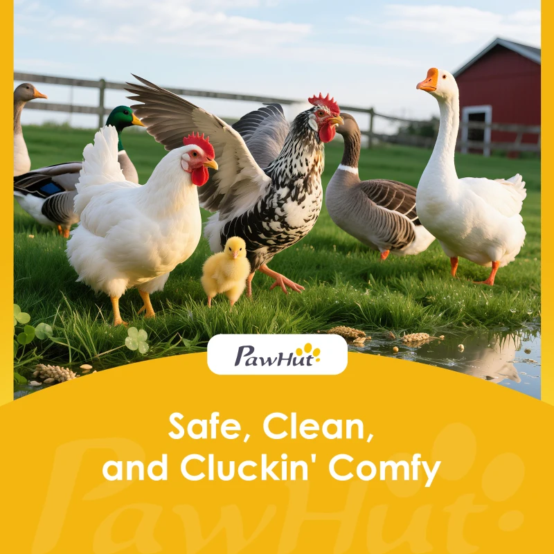 PawHut Large Wooden Chicken Coop for 8-10 Hens, Walk-in Chicken Run with Waterproof Cover, Nesting Boxes and Perches