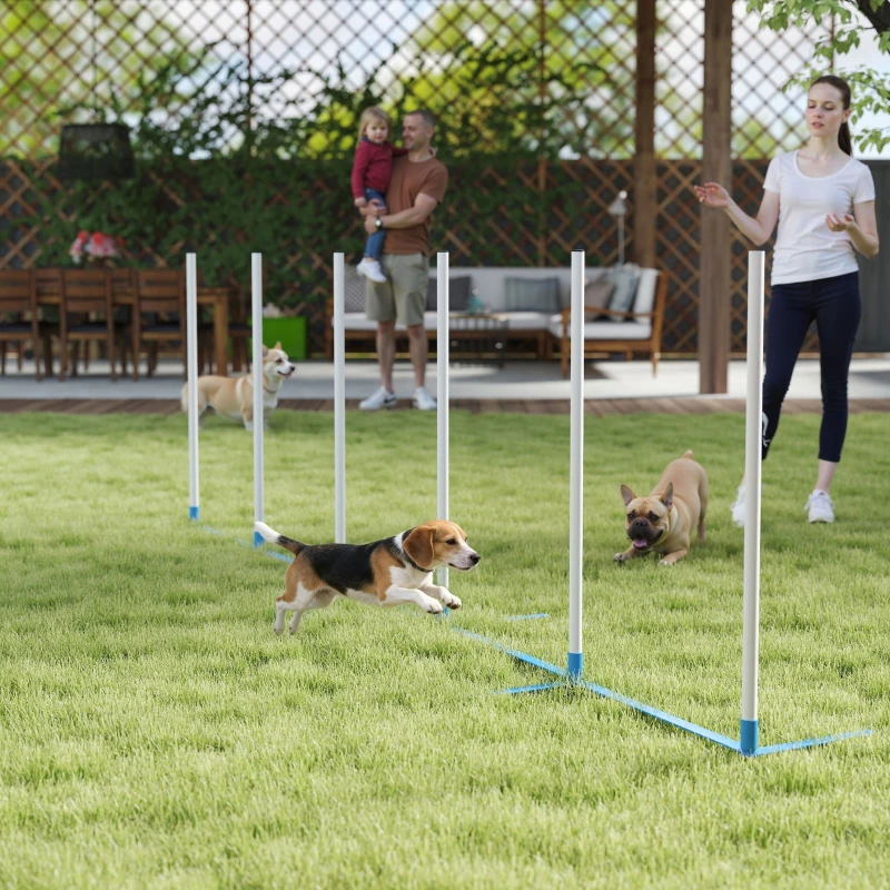 PawHut Adjustable Dog Agility Training Obstacle Set with Weaves Poles and Storage Bag for Pet Dogs Outdoor Games Exercise Blue and White