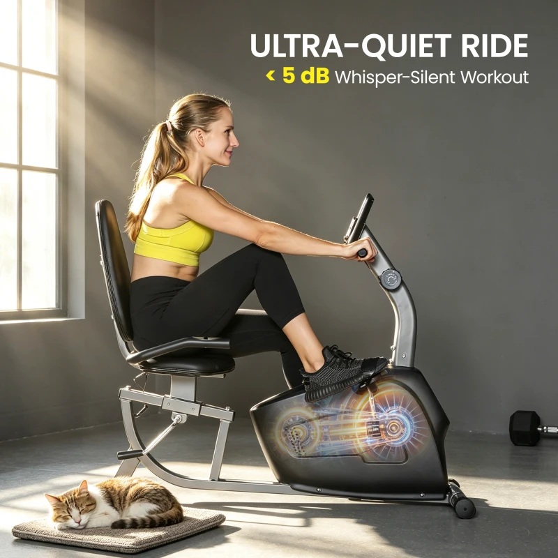 Soozier Recumbent Exercise Bike with 8-Level Magnetic Resistance, LCD Monitor, Heart Rate Handle and Adjustable Seat