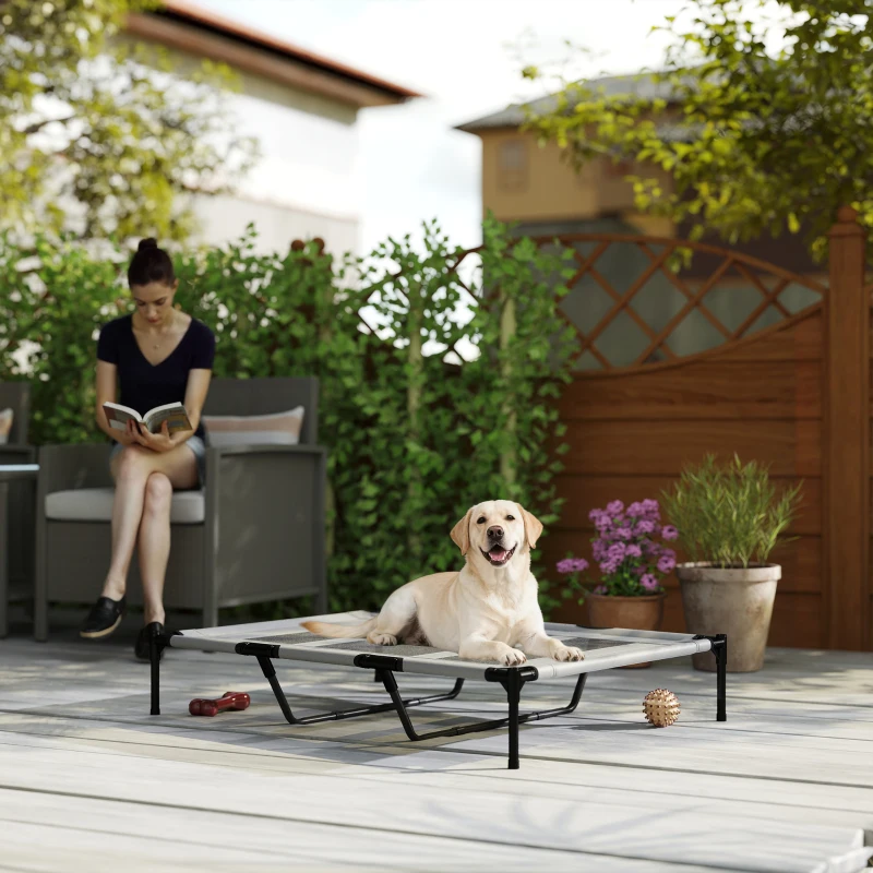 PawHut Elevated Dog Bed, Raised Dog Cot for XL Sized Dogs, Indoor & Outdoor, 48" x 36" x 9", Light Grey