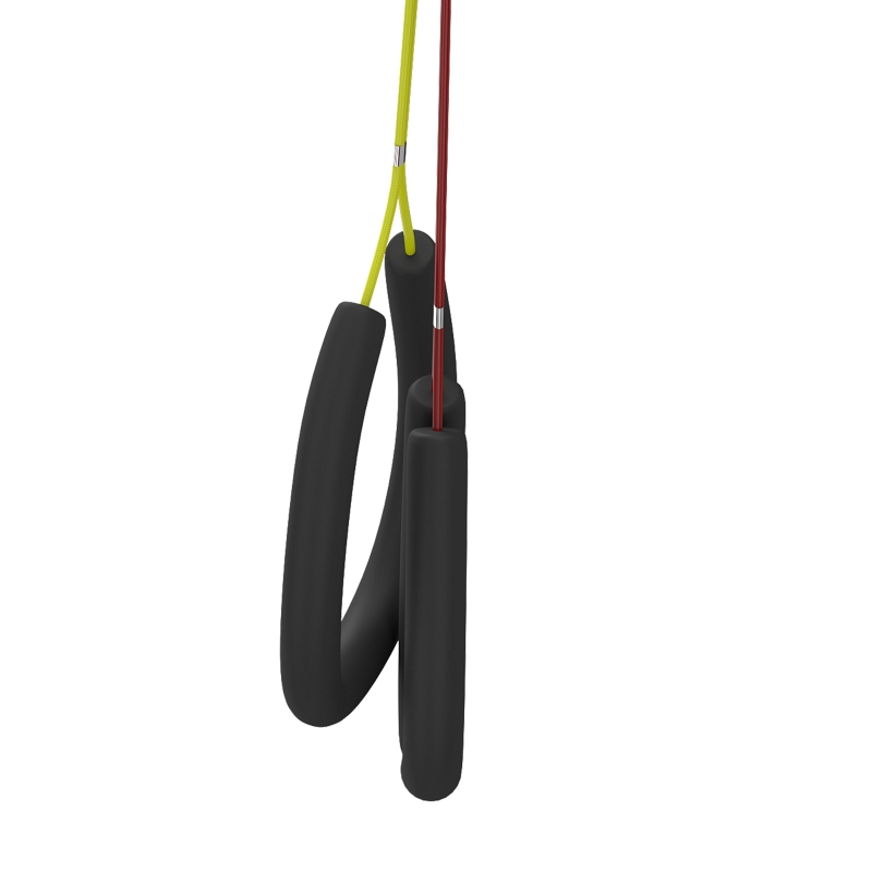 PawHut Dog Grooming Arm with Clamp Adjustable Foldable Dog Grooming 2 Loop Noose Small Medium Dogs 18.9" -32.3" Black