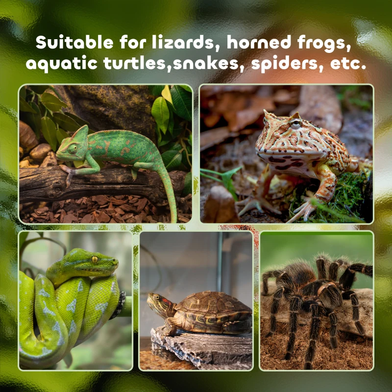 PawHut Glass Reptile Terrarium with Thermometer, Water Basin, Full View Visually for Lizards, Horned Frogs, Snakes, Spiders