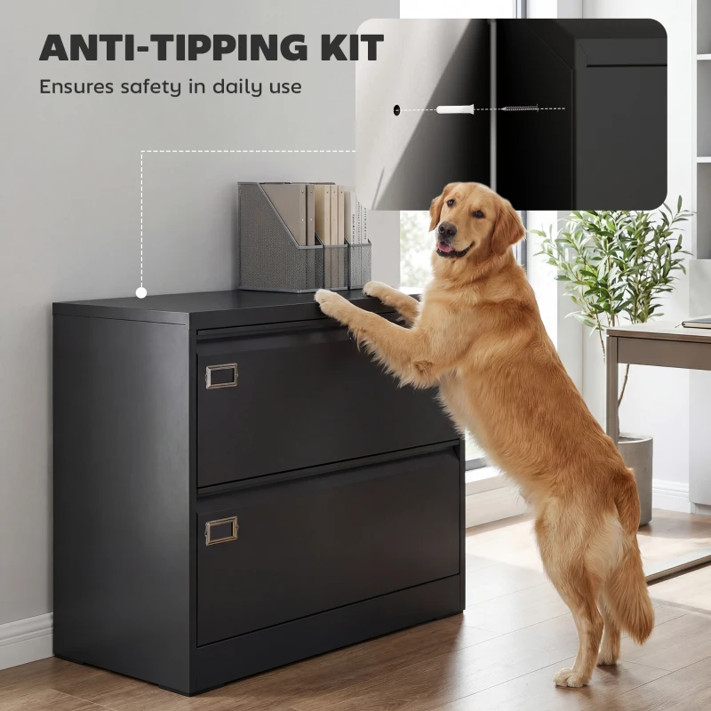 HOMCOM Lateral Filing Cabinet with 2 Drawers, Lockable Steel File Cabinet for A4/Letter/Legal Size Files, Black