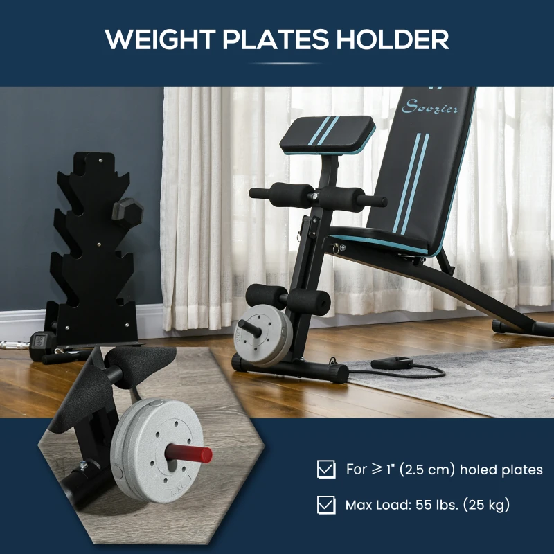 Soozier Foldable Press Bench Adjustable Dumbbell, Weight Training Bench Exercises Gym Chair, Black & Blue
