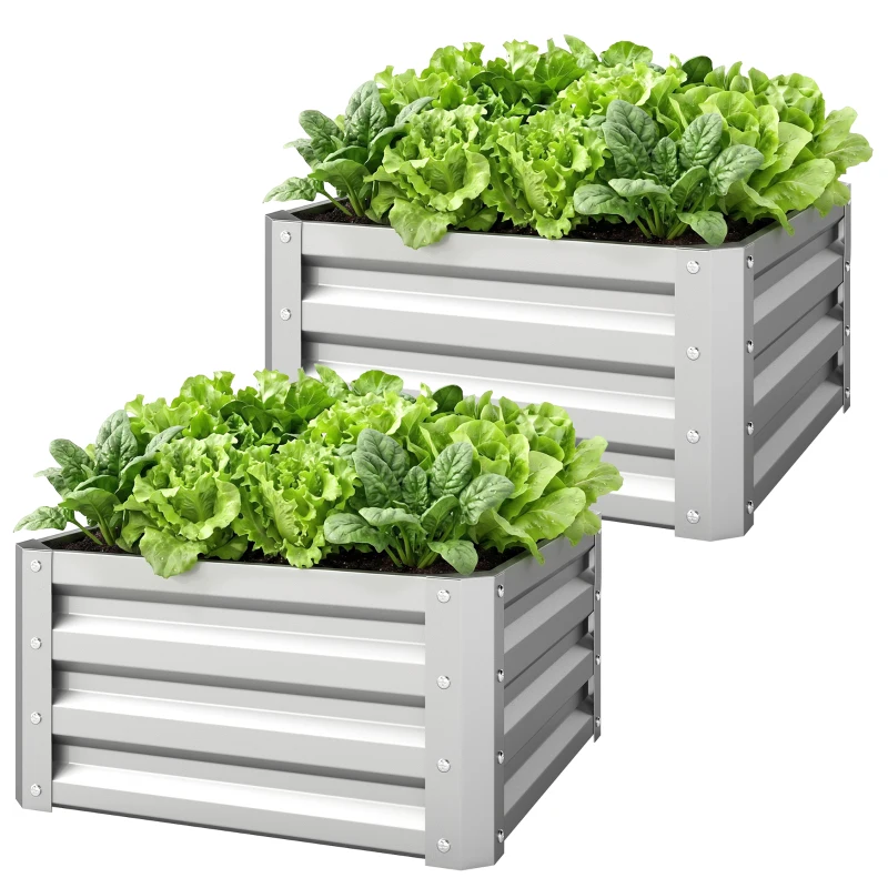 Outsunny Set of 2 Raised Garden Bed, 2 x 2 x 1ft Steel Planters for Outdoor Plants, Elevated Planter Box, Easy-to-assemble, for Flowers Herbs and Vegetables, Silver