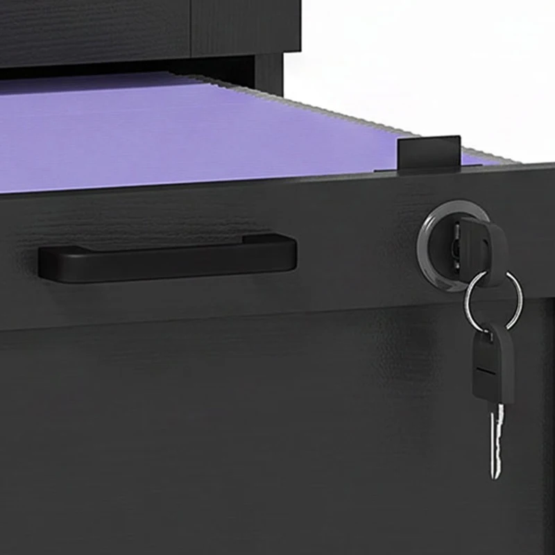 HOMCOM Vertical Filing Cabinet with 2 Drawers, Lock, File Cabinet for Home Office, A4 and Letter Size Files, Black