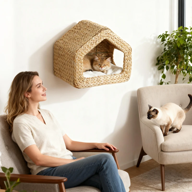 PawHut Wall Mounted Cat House, Cat Wall Furniture, Cat Wall Shelf with Washable Cushion, Natural