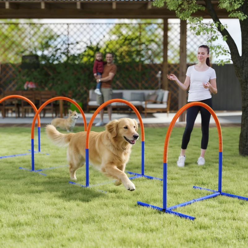 PawHut Dog Agility Training Equipment, 4 PCS Obstacle Course with Carrying Bag for Old Dogs, for Backyard, Outdoor, Blue