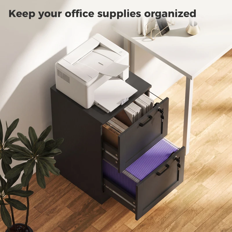 HOMCOM Vertical Filing Cabinet with 2 Drawers, Lock, File Cabinet for Home Office, A4 and Letter Size Files, Black