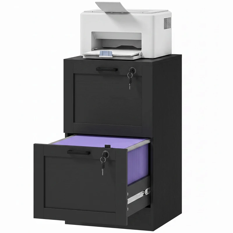 HOMCOM Vertical Filing Cabinet with 2 Drawers, Lock, File Cabinet for Home Office, A4 and Letter Size Files, Black