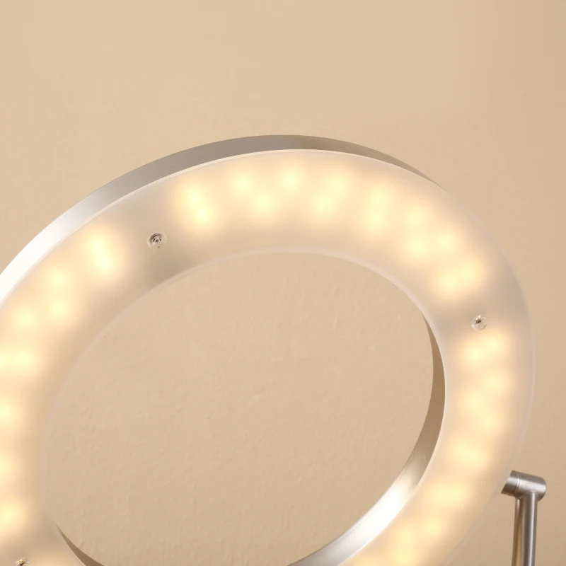 HOMCOM Modern LED 2 Light Floor Lamp, Tall Standing Lamp with Rotatable Ring Light and Height Adjustable Side Light for Living Room or Bedroom, Silver