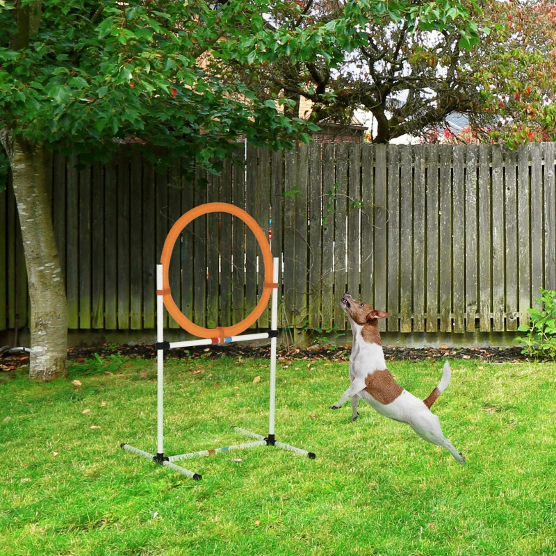 PawHut 2-in-1 Dog Obstacle Training Agility Equipment Tire Jump Ring/Hurdle Bar with a Simple & Easy Setup & Storage Bag