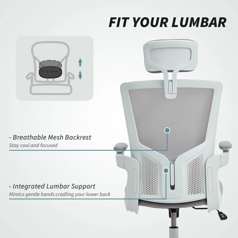 HOMCOM Ergonomic Office Chair, Swivel Desk Chair with Adjustable Lumbar Support, Headrest and Height, Flip-up Armrests, Grey