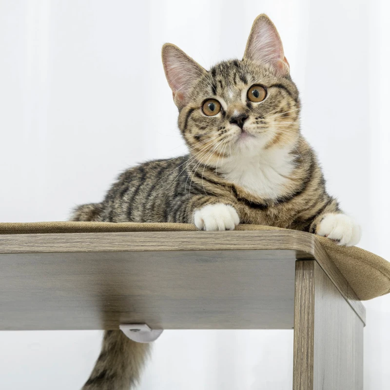 PawHut 65" Corner Modern Cat Tree Tall for Climbing, Large Multilevel Cat Tower with Scratching Posts, Cream White