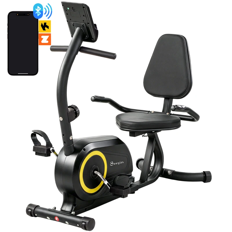 Soozier Recumbent Exercise Bike for Home, Stationary Bike with Bluetooth, App Connectivity, Quiet 8-Level Magnetic Resistance