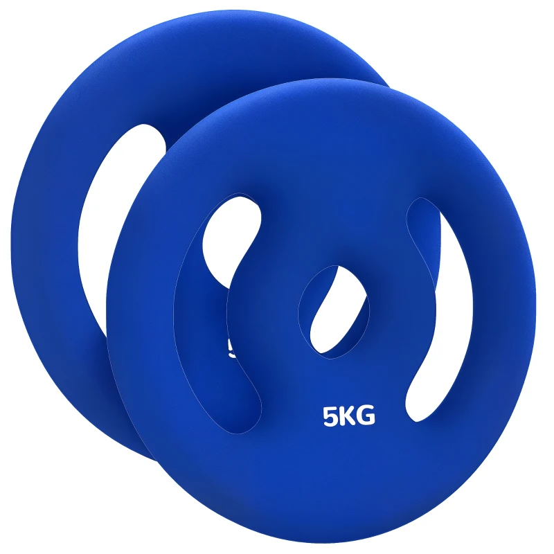 Soozier 2 x 11lbs Standard Weight Plates with Easy-Grip Handles, 1" Holes, for Home, Gym, Weight Lifting and Strength Training