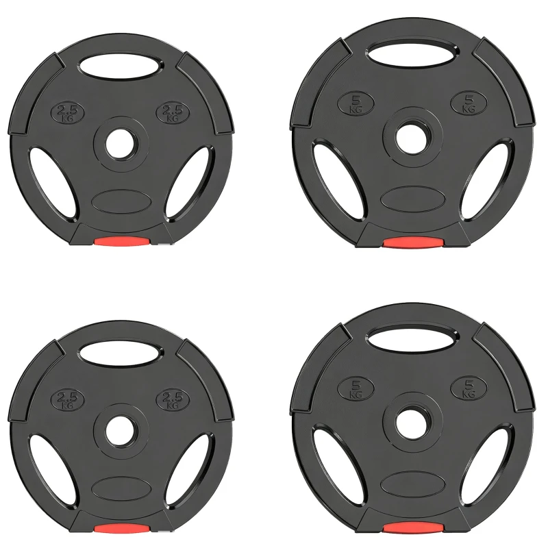 Soozier 1-Inch Weight Plates, Barbell Weights Set for Weightlifting and Strength Training, 2 x 11lbs + 2 x 5.5lbs