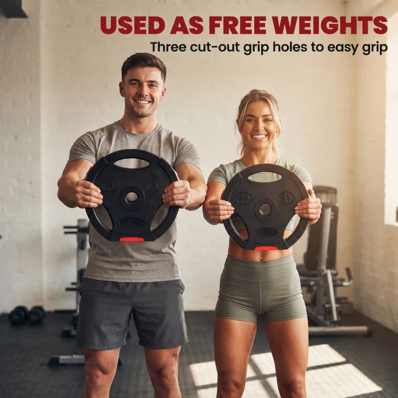 Soozier 1-Inch Weight Plates, Barbell Weights Set for Weightlifting and Strength Training, 2 x 11lbs + 2 x 5.5lbs