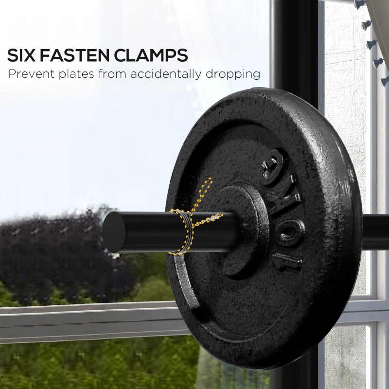 Soozier 2 Inch Weight Plate Rack, Plate Rack Holder For Olympic Weight Plates and Bars, with 4 Transport Wheels and 6 Fasten Clamps, 440 lbs. Capacity, Black