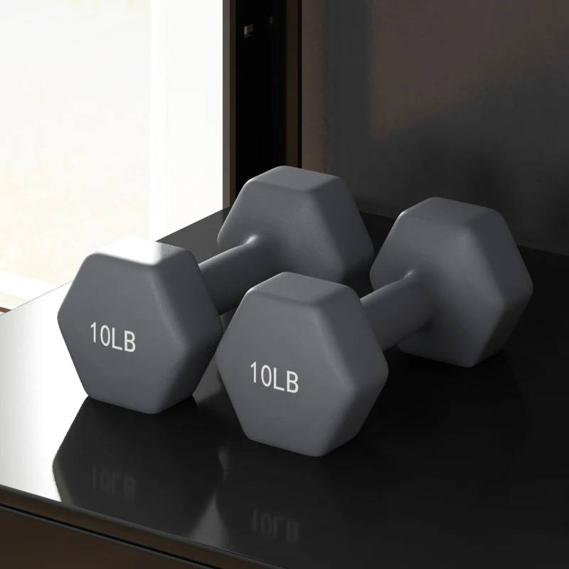 Soozier 2 x 10LBS Hexagonal Dumbbells, Set of 2 Weights with Non-Slip Grip for Home Gym Workout