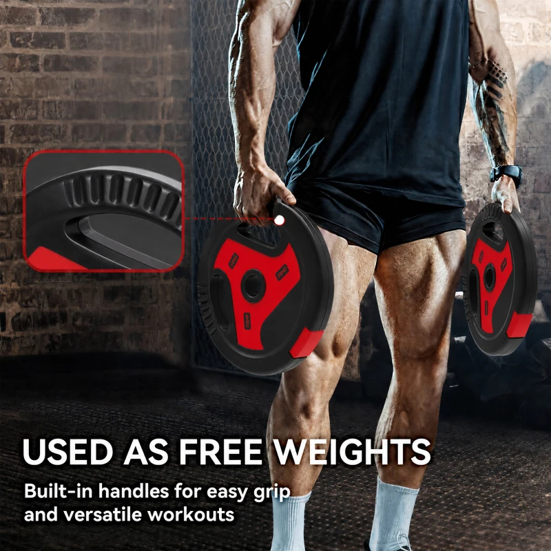 Soozier 88 lbs Weight Plates Set, 6-Piece Sand-Filled Standard Plates with Handles and 1" Centre Hole, Black and Red