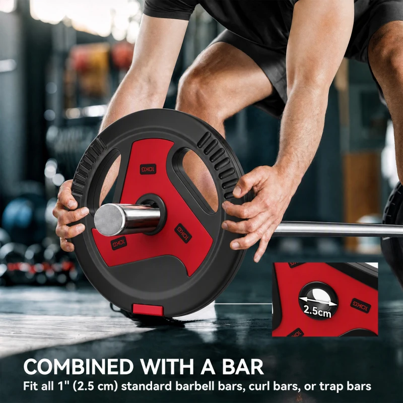 Soozier 66 lbs Weight Plates Set, 4-Piece Sand-Filled Plates with Handles, 1" Hole, Black and Red