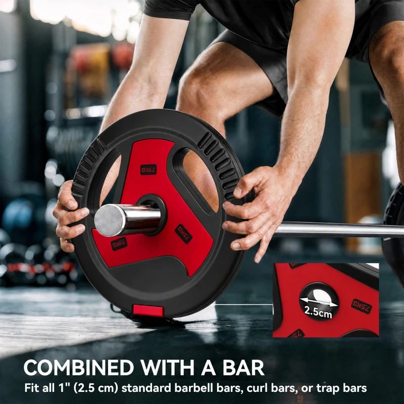 Soozier 88 lbs Weight Plates Set, 6-Piece Sand-Filled Standard Plates with Handles and 1" Centre Hole, Black and Red