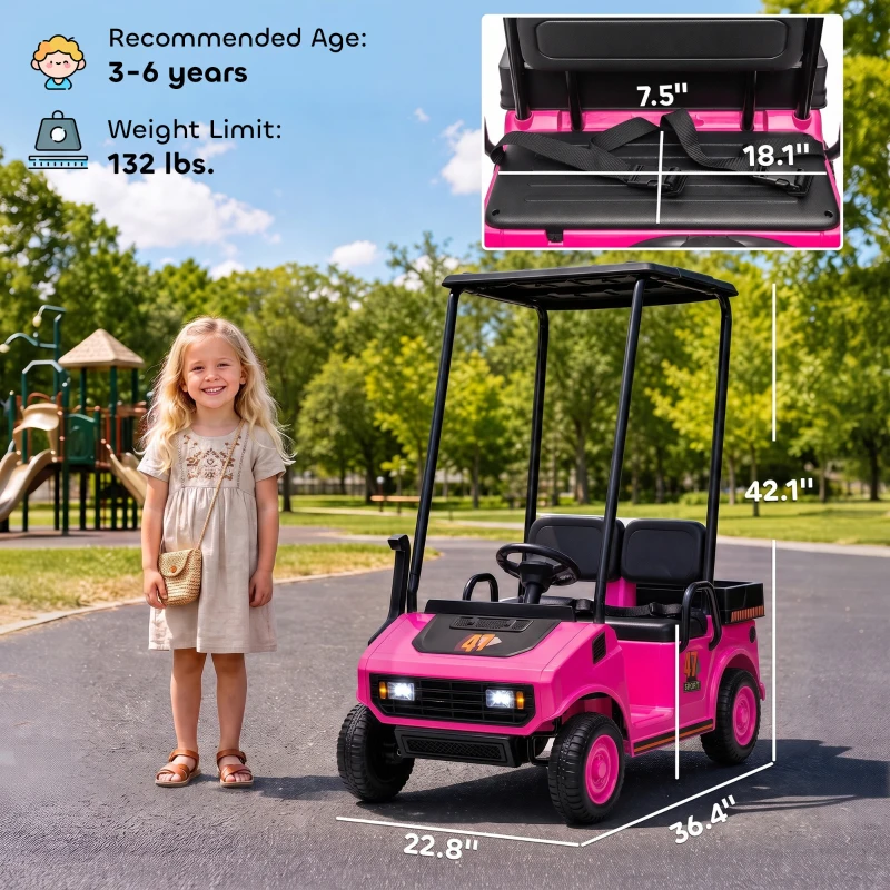 Qaba 24V Kids Golf Cart 2WD 2-Seater with Remote, Soft Start, Rear Suspension, Sunshade, Storage, Gift for 3-6 Years, Pink