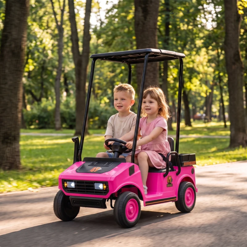 Qaba 24V Kids Golf Cart 2WD 2-Seater with Remote, Soft Start, Rear Suspension, Sunshade, Storage, Gift for 3-6 Years, Pink