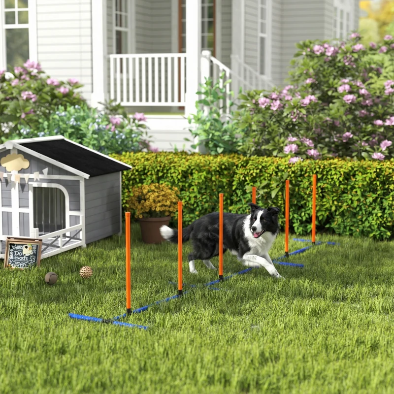 PawHut Dog Agility Training Equipment Adjustable Poles for Dog Agility Course with Carry Bag