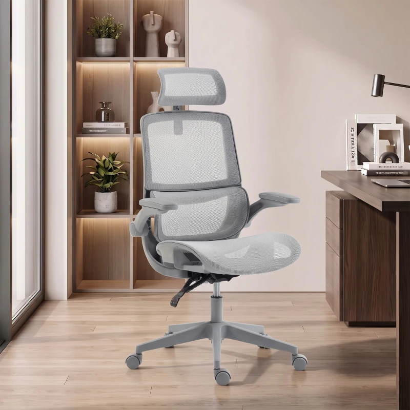 HOMCOM Ergonomic Office Chair with Adaptive Lumbar Support, Reclining Mesh Desk Chair with 2D Headrest, Flip-Up Arms, Gray