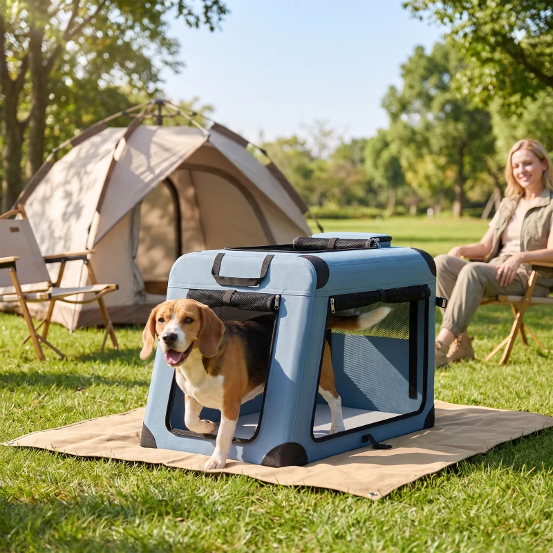 PawHut Pet Carrier for Small Medium Cats Dogs Up to 44 LBS Collapsible Pets Travel Carriers with Removable Mat Mesh Doors Blue