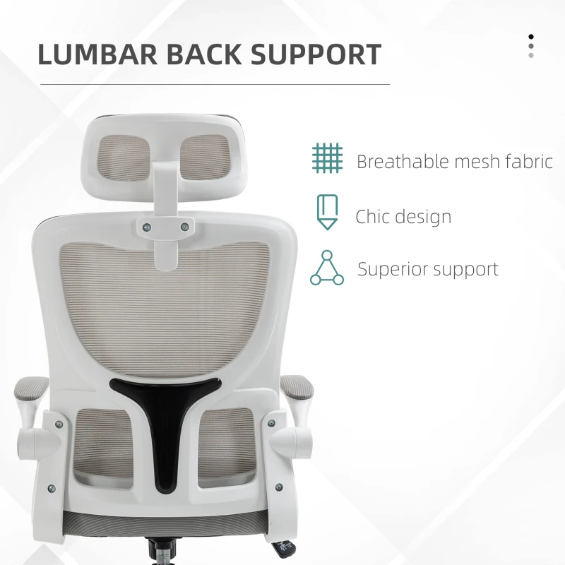 Vinsetto Ergonomic Office Chair, Mesh Computer Desk Chair with Adjustable Headrest, 4D Lumbar Support, Flip-up Arm, Grey