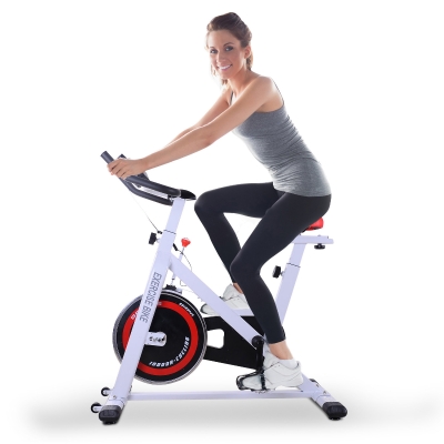 Soozier Exercise Bike Aerobic Training Indoor Cycling Stationary Cardio Workout Home Flywheel Fitness Racing Machine