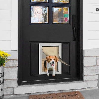 PawHut 2-Way Locking Dog Door with Magnetic Closure, 110 lbs
