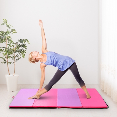 Soozier 6' × 4' × 2” Gymnastics Mats Mat Folding Panel Home Gym Yoga Stretch Pad
