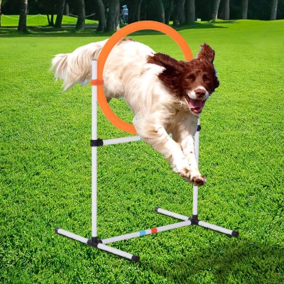 PawHut Dog Agility Jump Ring Hurdle Bar