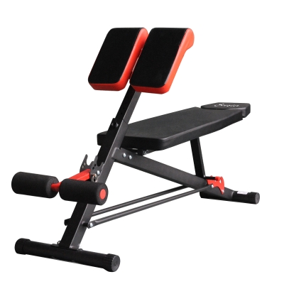 Soozier Adjustable Hyper Extension Bench Dumbbell Weight Ab Multifunction Workout Press