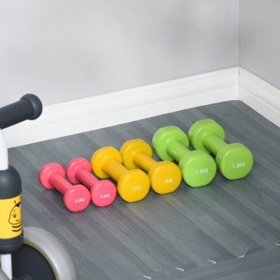 HOMCOM 12lbs. Dumbbell Set Weights Fitness Dumbbells for Man and Women Home Gym, Workout, Up Body Training
