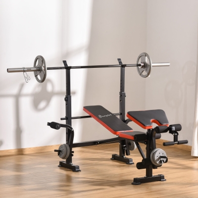 Soozier Adjustable Weight Bench with Leg Developer Barbell Rack for Weight Lifting and Strength Training Multifunctional Workout Station for Home Gym Fitness