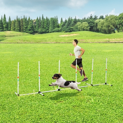 PawHut Sturdy Dog Weave Poles Pet Agility Training Dogs Obstacle Outdoor w/ Storage