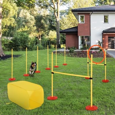 PawHut Outdoor 4 PCs Dog Pet Agility Training Equipment Backyard Starter Course Set
