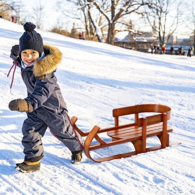 Soozier Baby Snowmobile Sleigh Children Snow Sled Wooden Sledge Ski Sliding