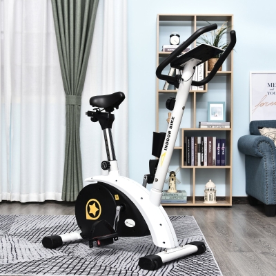 Soozier Recumbent Exercise Bike Stationary Magnetic Resistance Bike Cardio Workout Cycling w/ Adjustable Height, LCD Monitor, Phone Holder